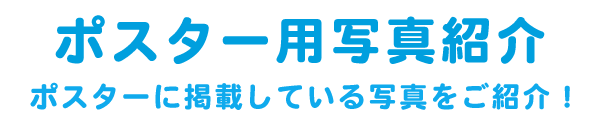 ポスター用写真紹介